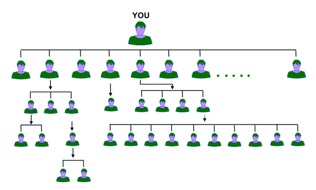 Depiction of the uni-level compensation plan in network marketing